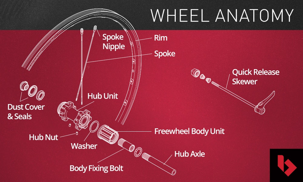 mountain-bike-wheel-buyers-guide-anatomy-bikeexchange-jpg